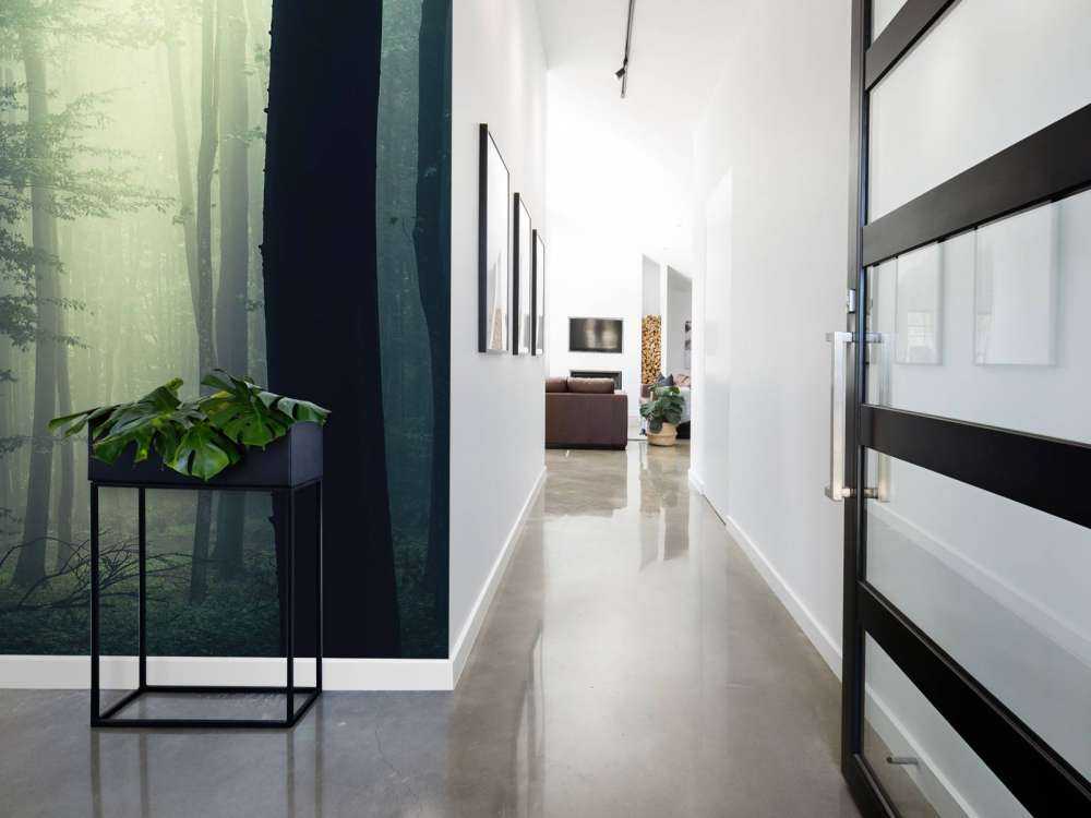 Rayon de soleil dans la forêt