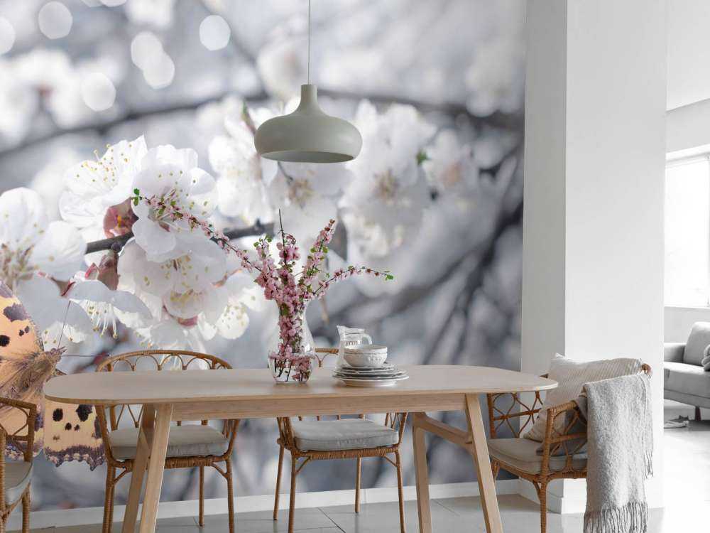 Papillon et fleurs blanches