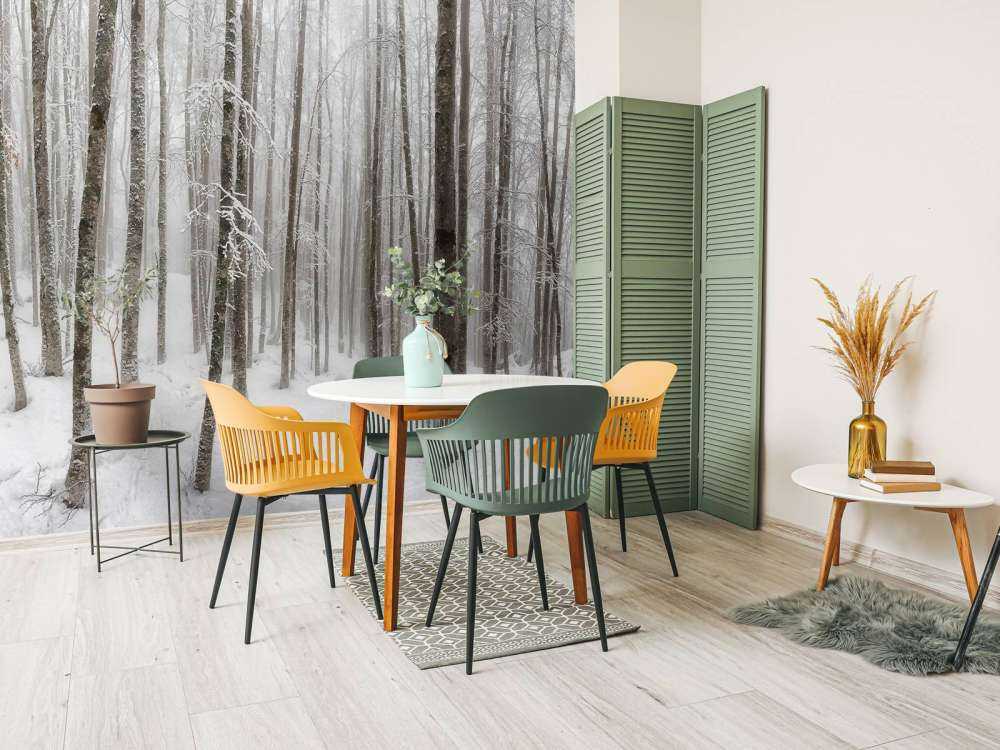 Forêt de hêtres avec de la neige