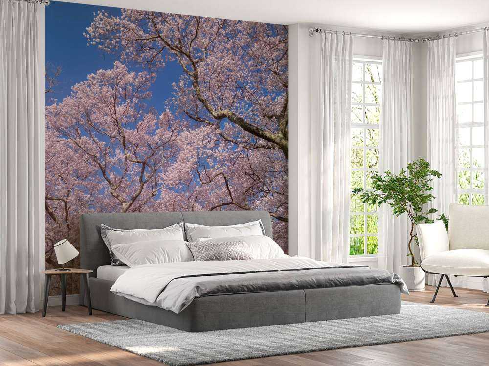 Fleurs avec un ciel bleu