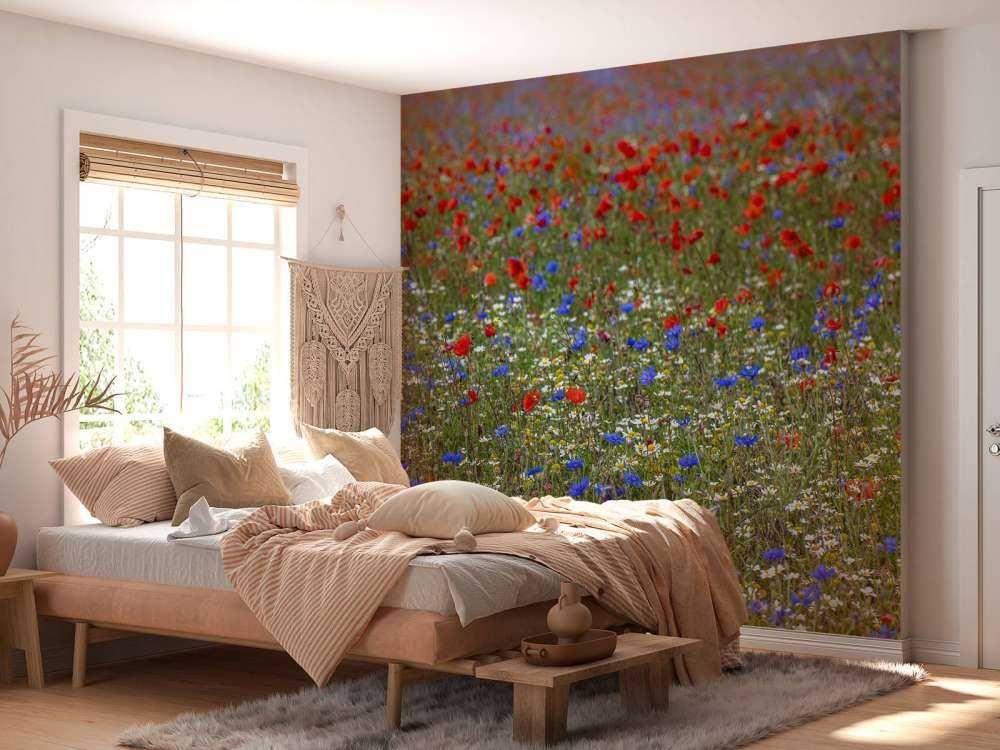 Champ plein de coquelicots