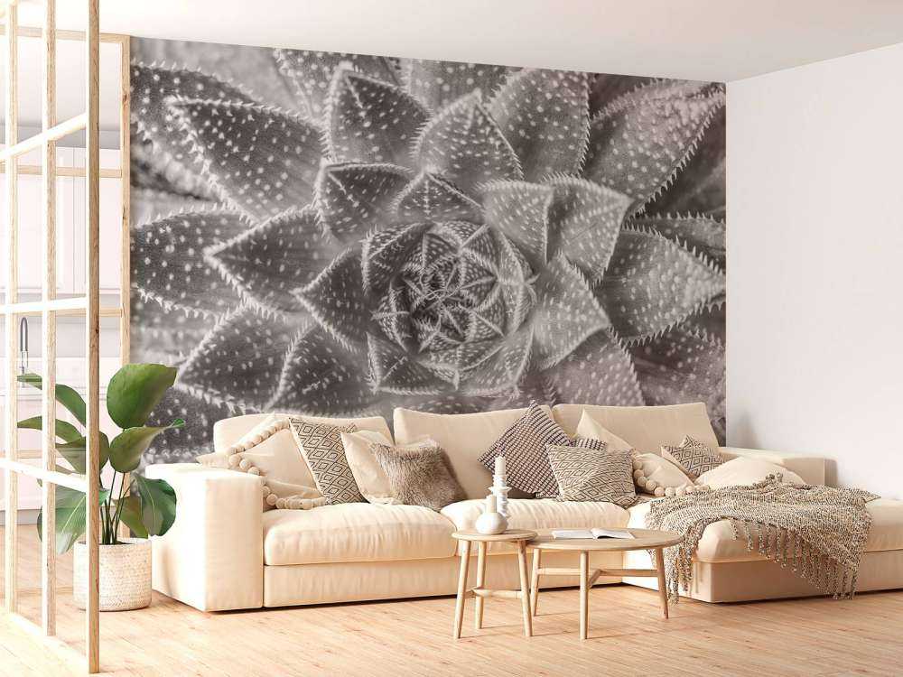 Succulente en noir et blanc