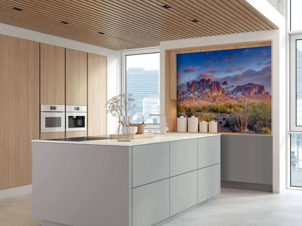 Cactus dans un paysage de montagne