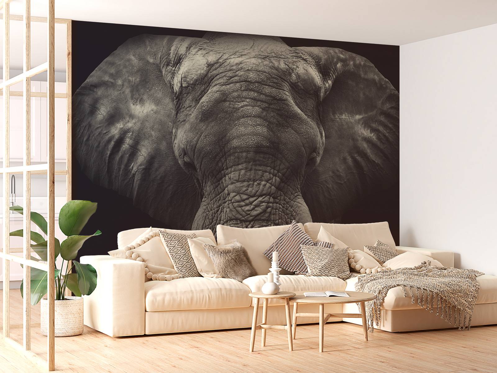 Gros plan sur un éléphant