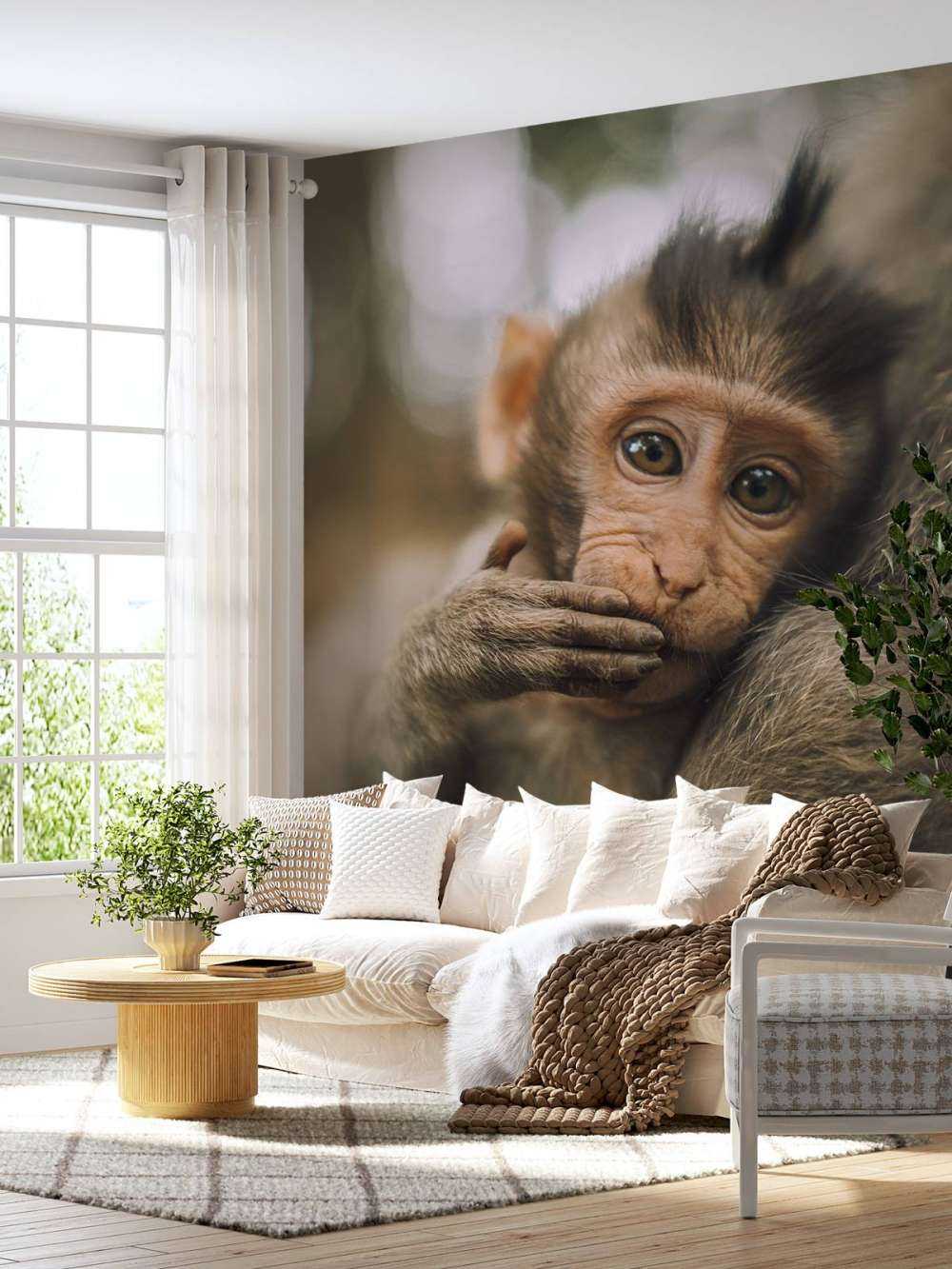 Gros plan d'un petit singe