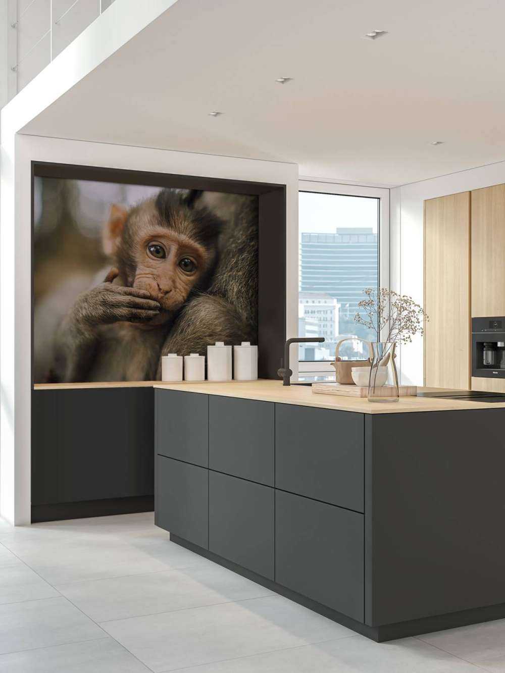 Gros plan d'un petit singe