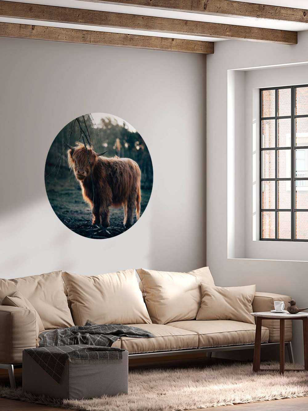 Highlander écossais à l'orée des bois