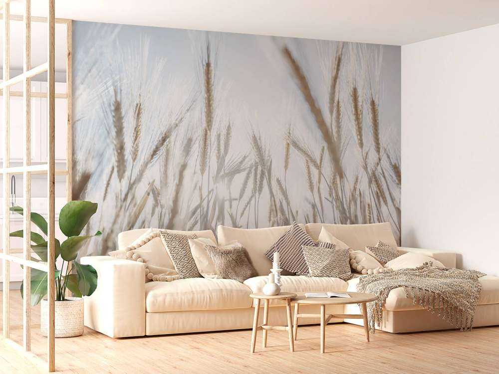 Des rayons de soleil à travers le blé