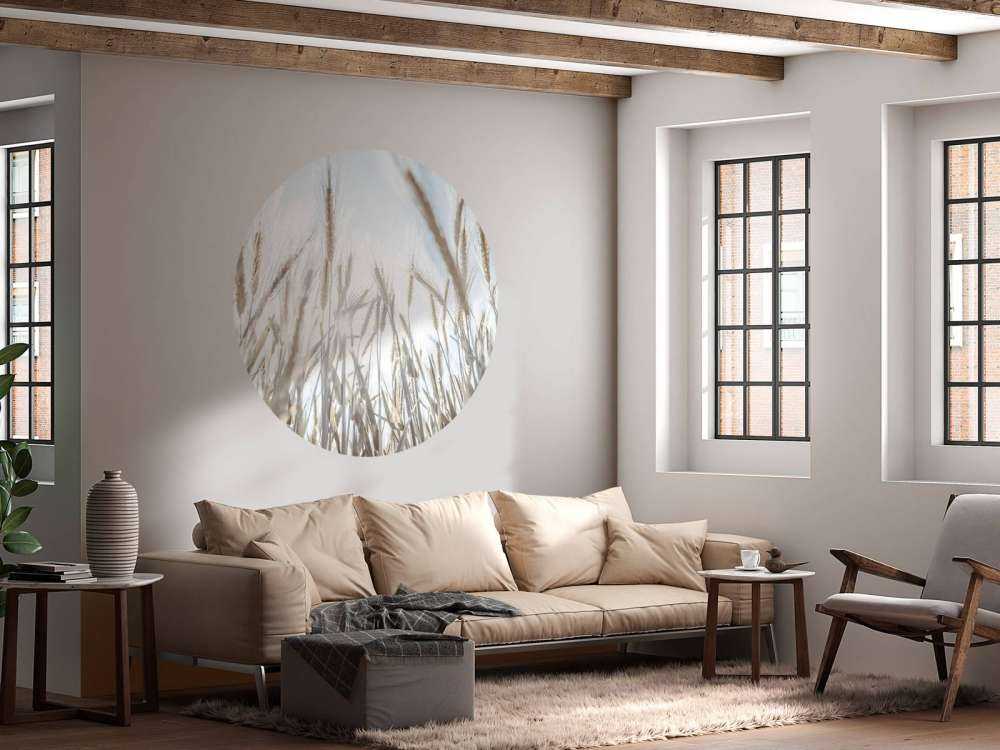 Des rayons de soleil à travers le blé