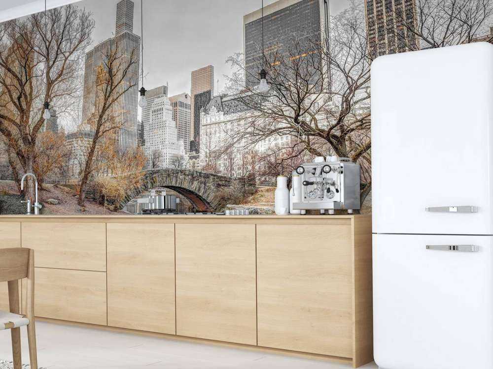 Central park en hiver