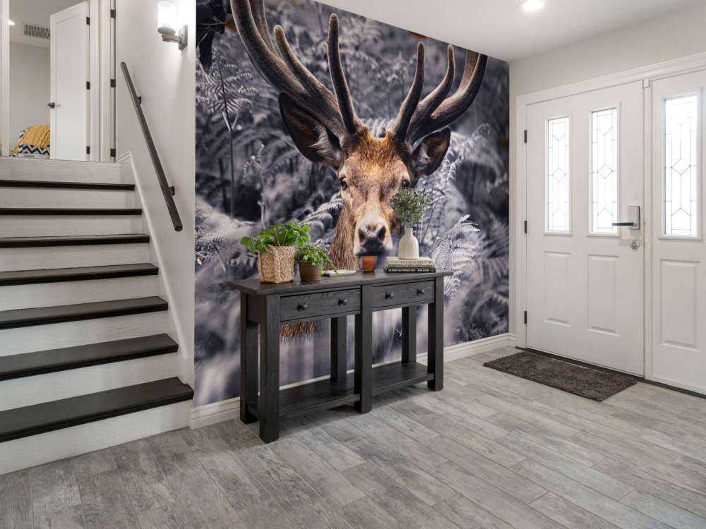 Gros plan sur un cerf