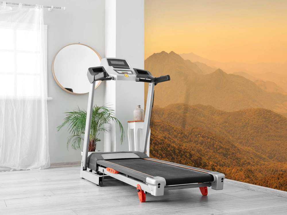 Montagne, colline et forêt