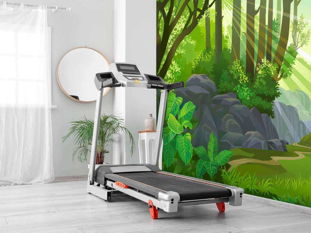 Rayons de soleil dans la jungle