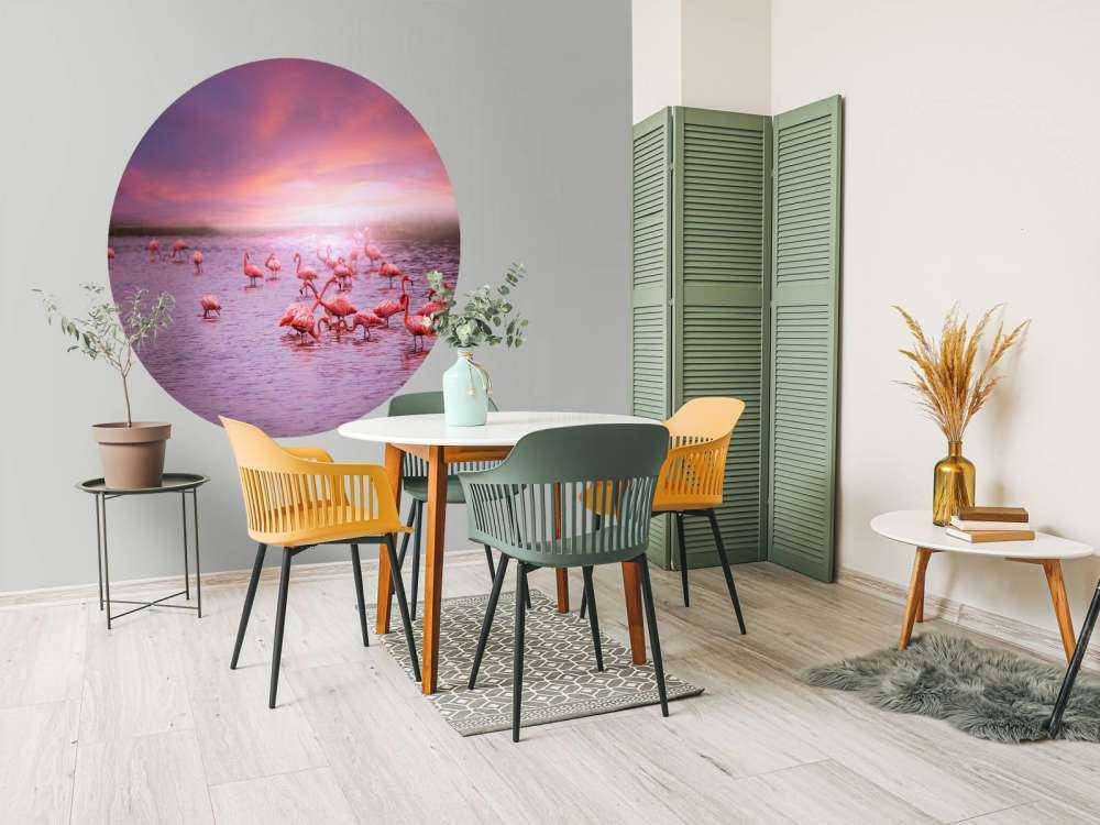 Flamants et le coucher de soleil