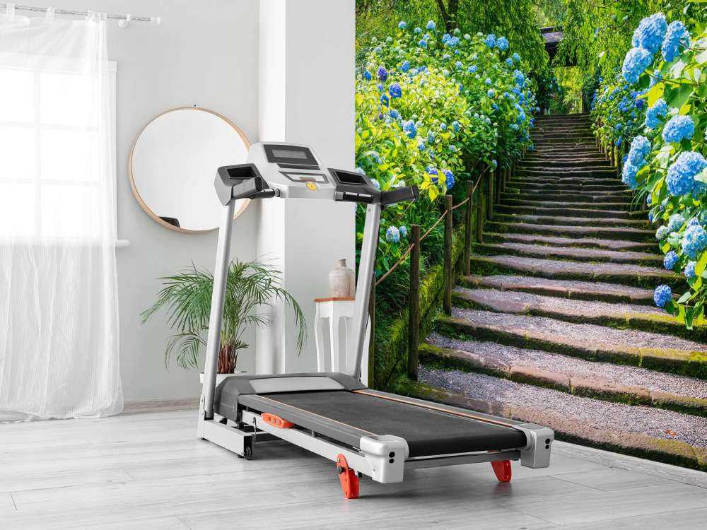 Escalier entre des hortensias