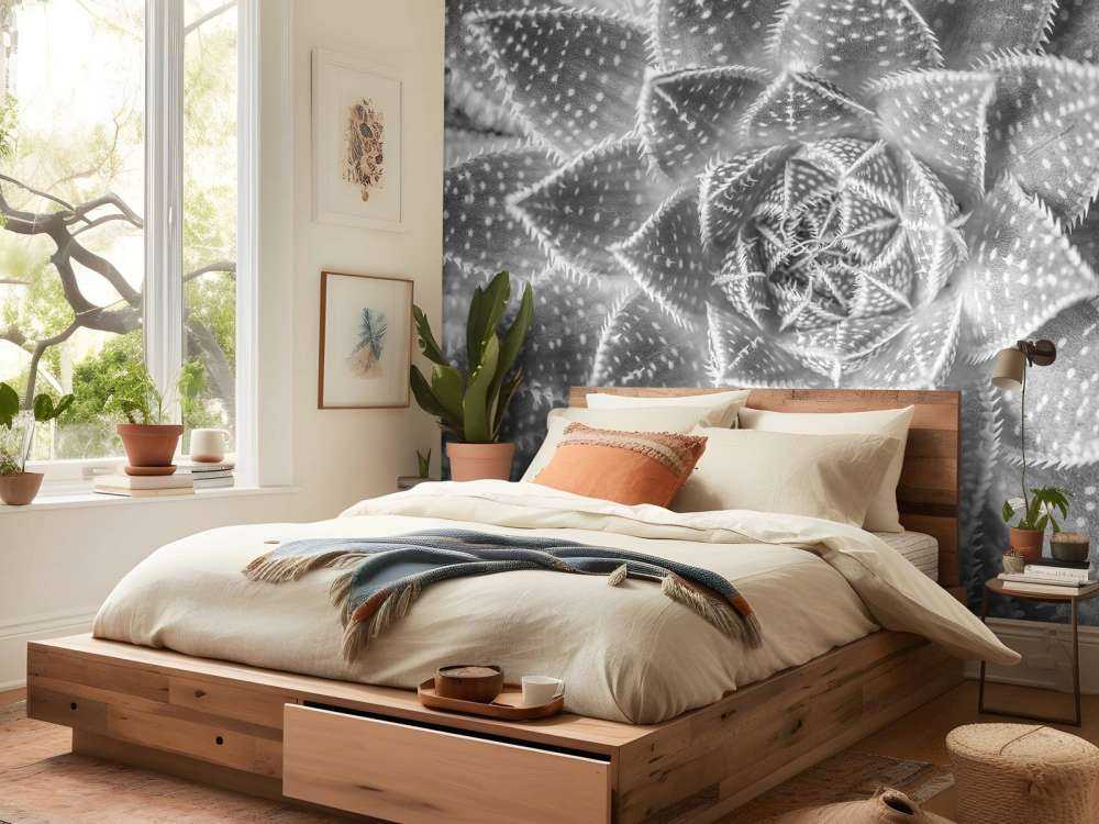 Gros plan sur succulente