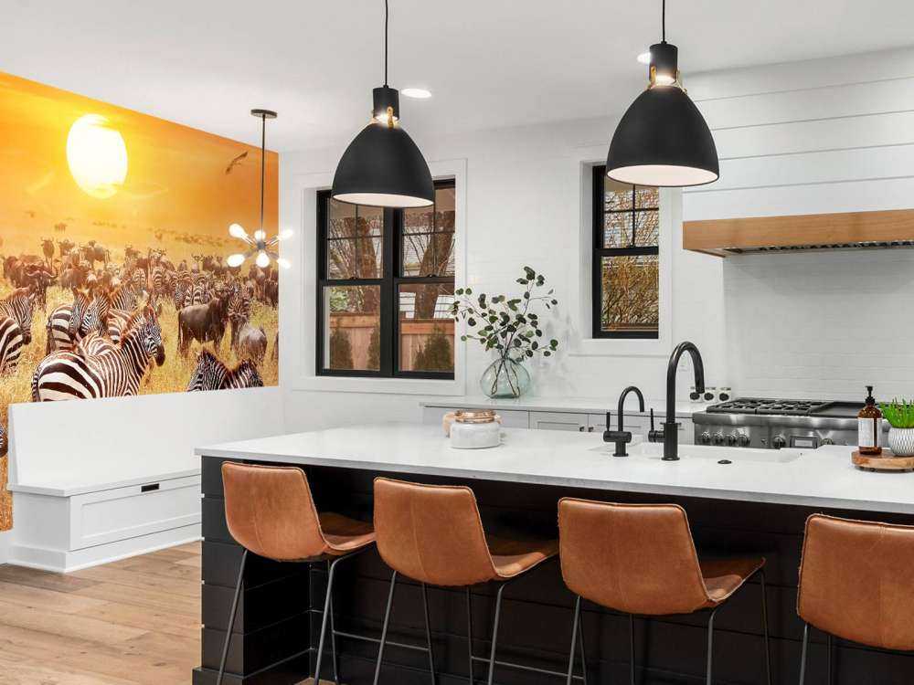 Soleil de la savane avec des zèbres