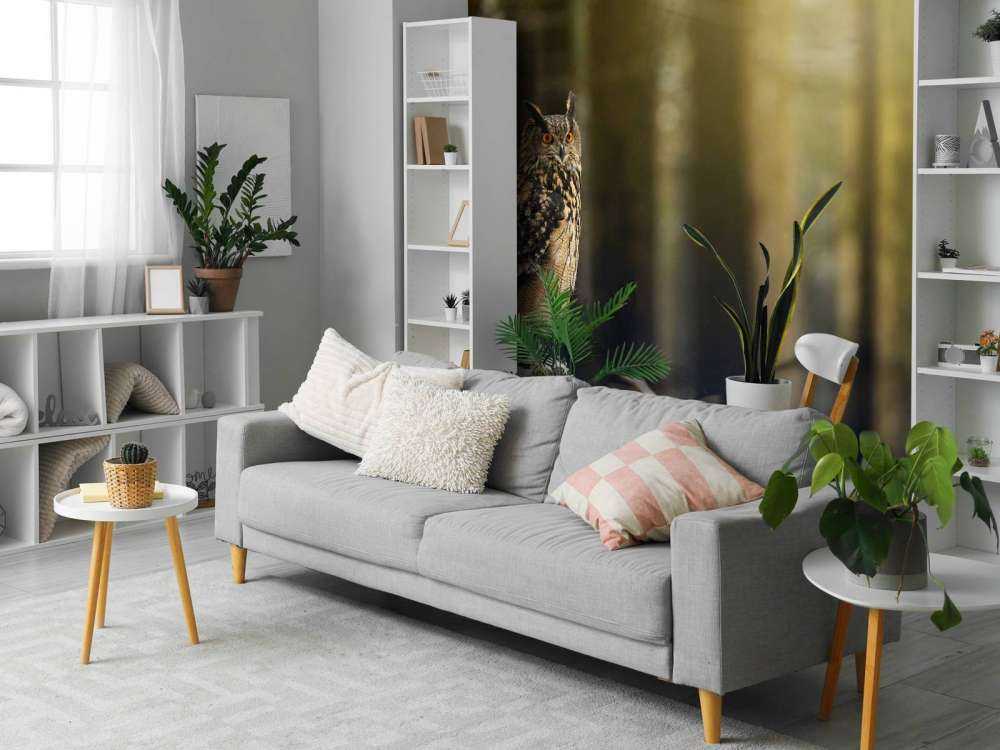 Chouette dans une forêt enneigée