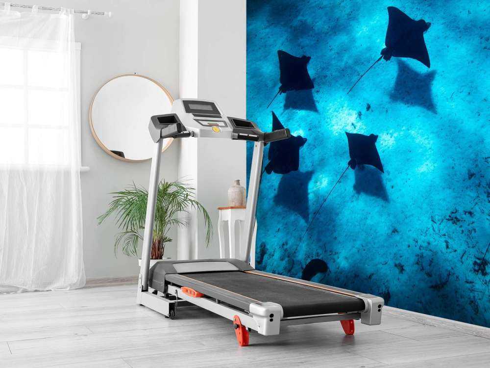 Les raies manta flottant à travers le récif bleu profond