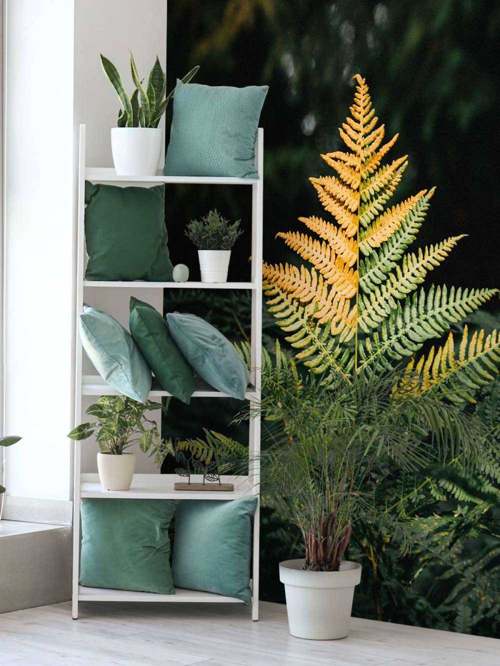 Fougère dorée dans l'ombre