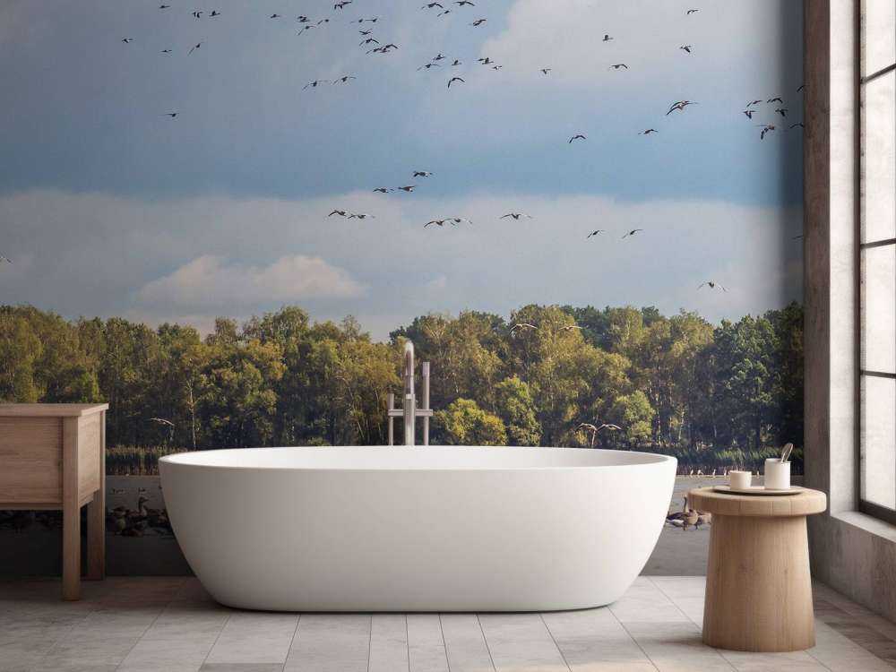 Vol au-dessus de l'eau