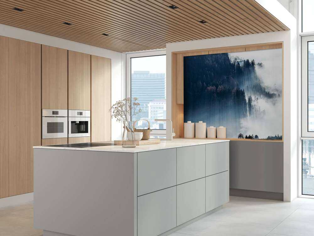 Lumière du matin dans la forêt brumeuse.