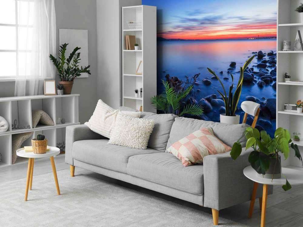 Rive boueuse à la lumière du soir.