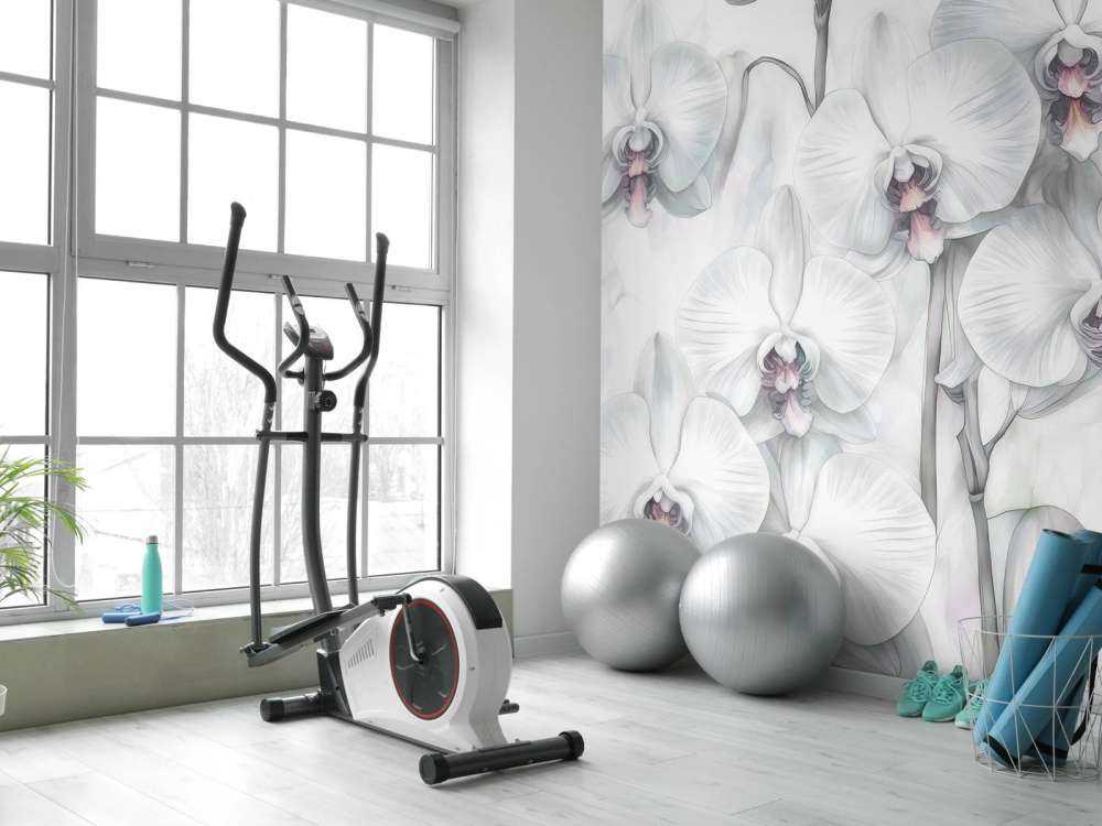 Paradis des Orchidées Vert