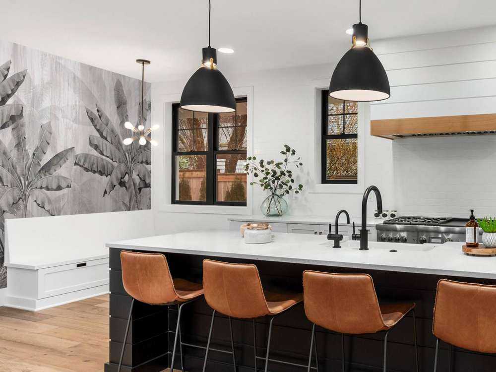 Palmiers de brouillard tropicaux