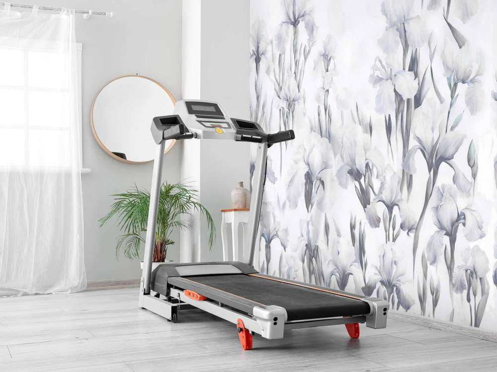 Iris Dansent Gris Sans Couture