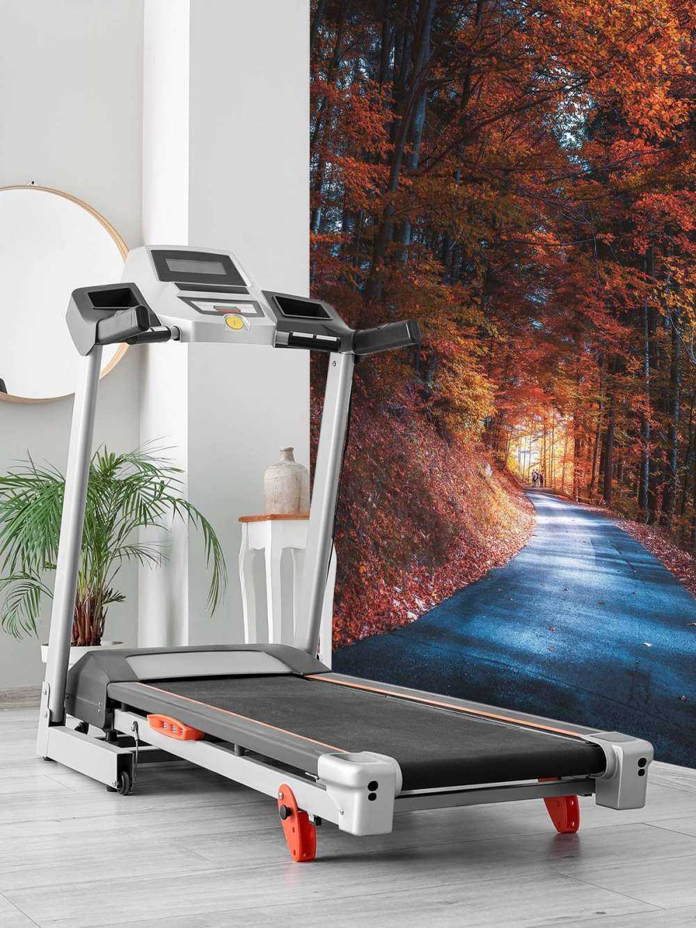 Sentier d'automne à travers une forêt enflammée