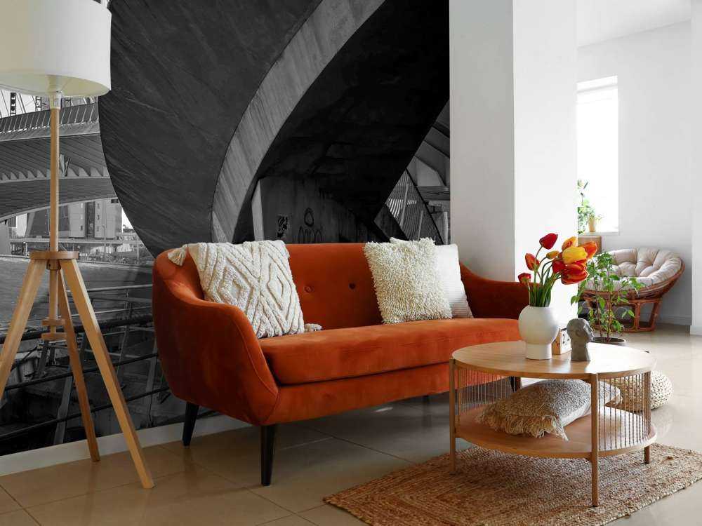 Erasmusbrug et architecture urbaine
