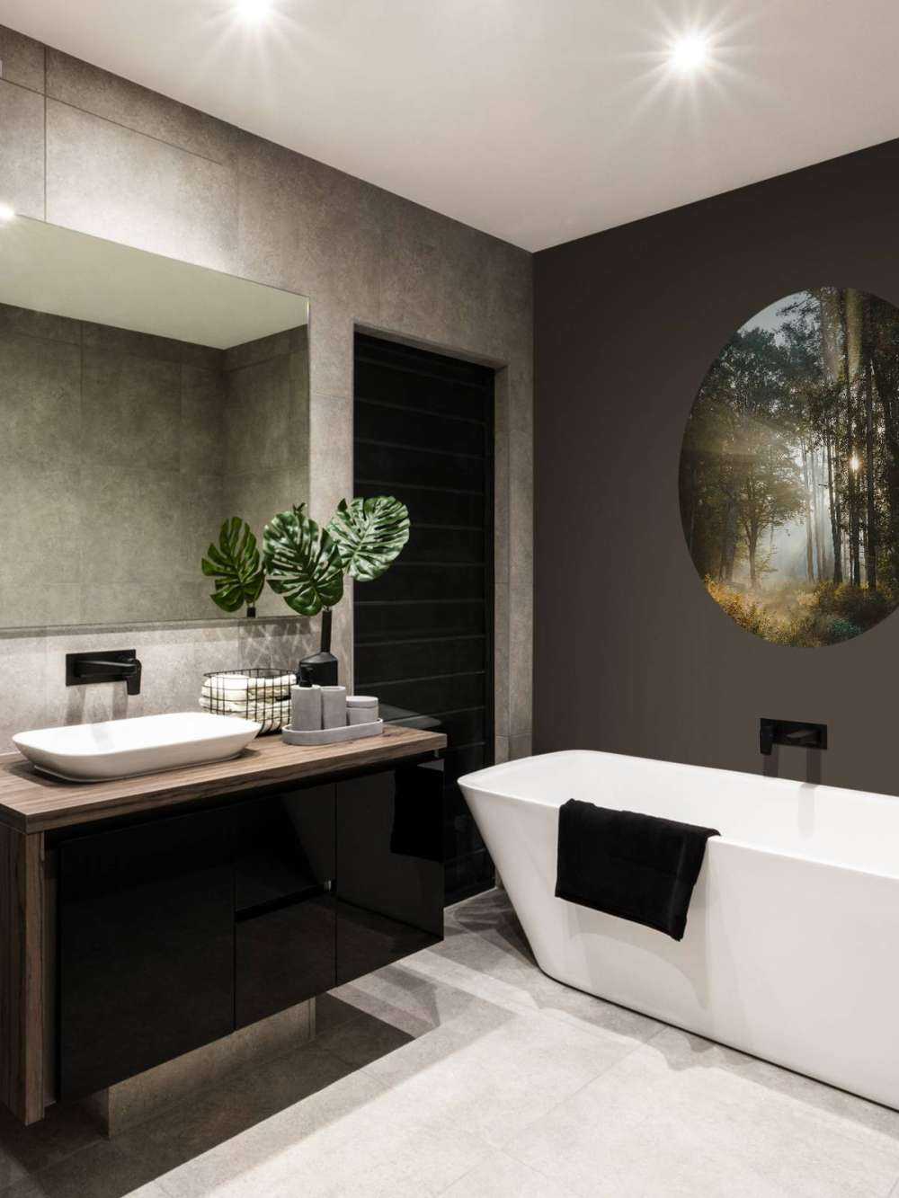 Lumière du matin éclatante à travers la forêt