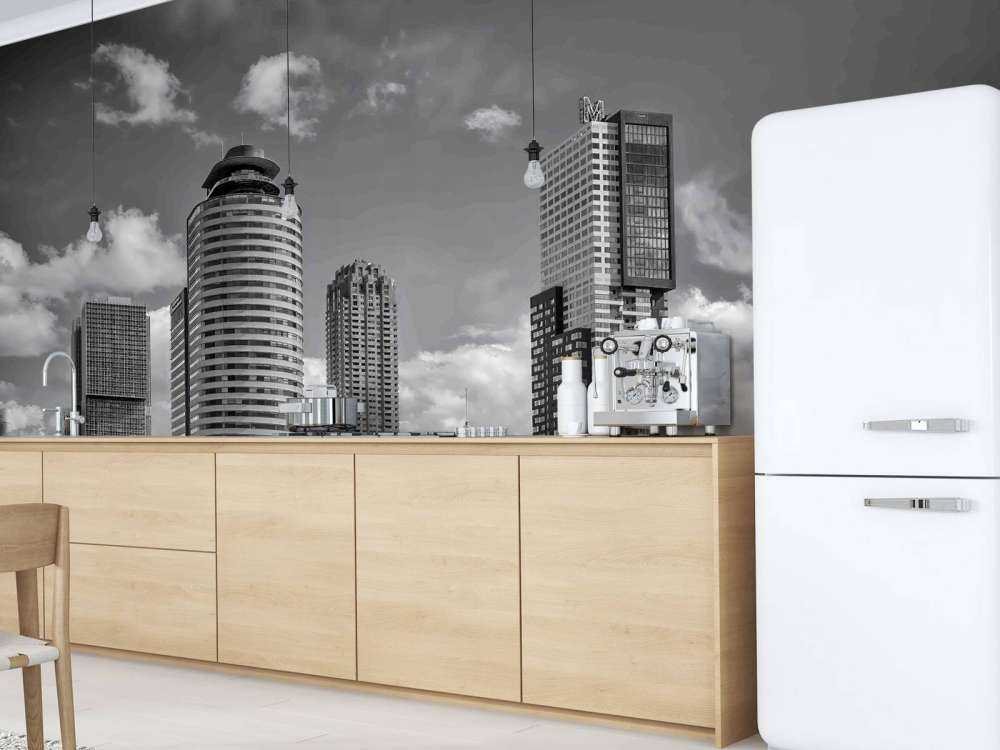 Contraste Noir-Blanc sur la Tête du Sud