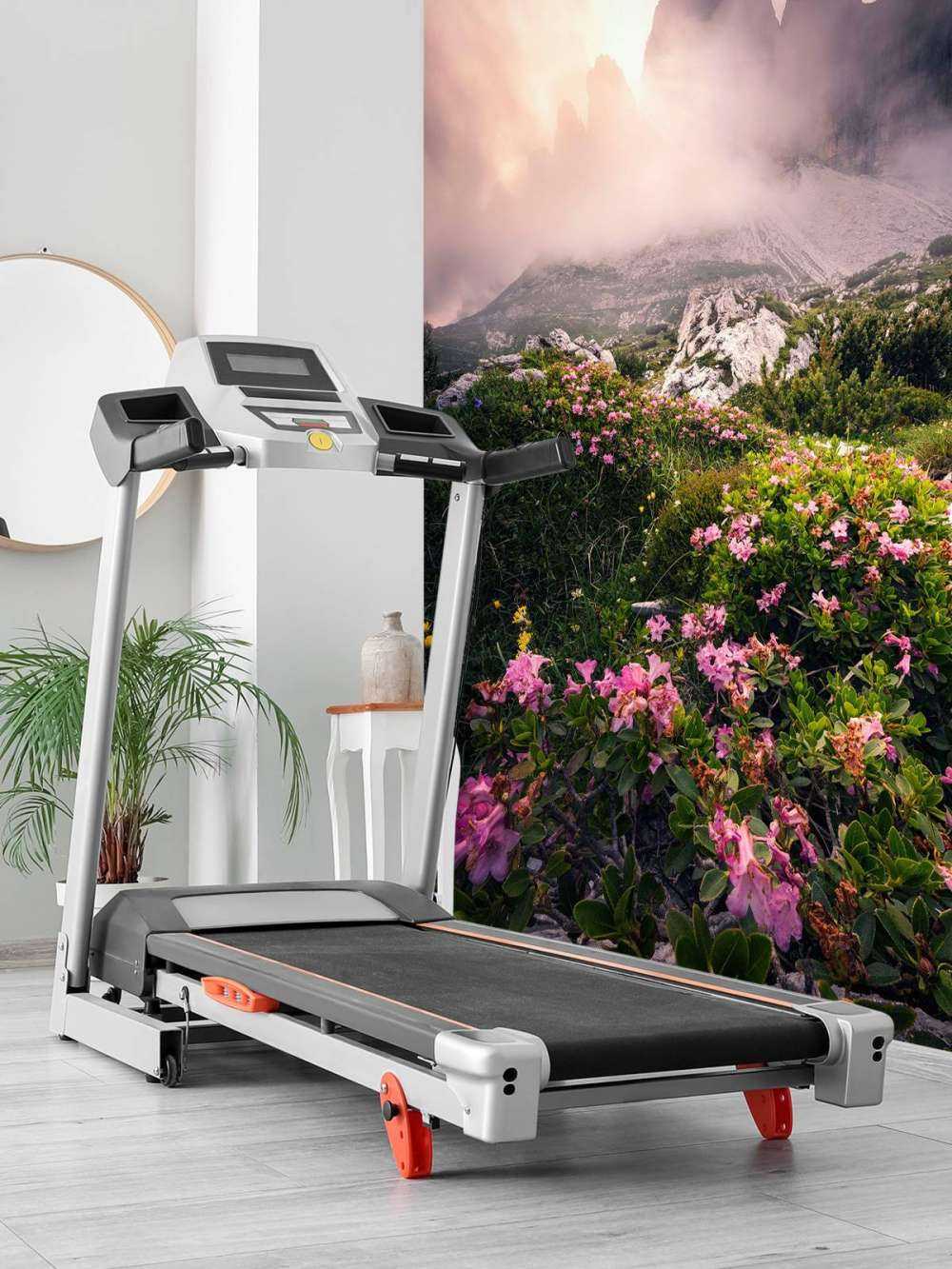 Beauté des fleurs dans les Dolomites