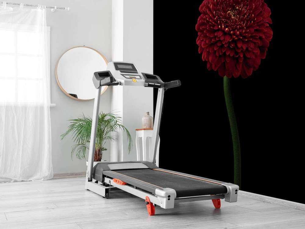 Fleur rouge sur la tige