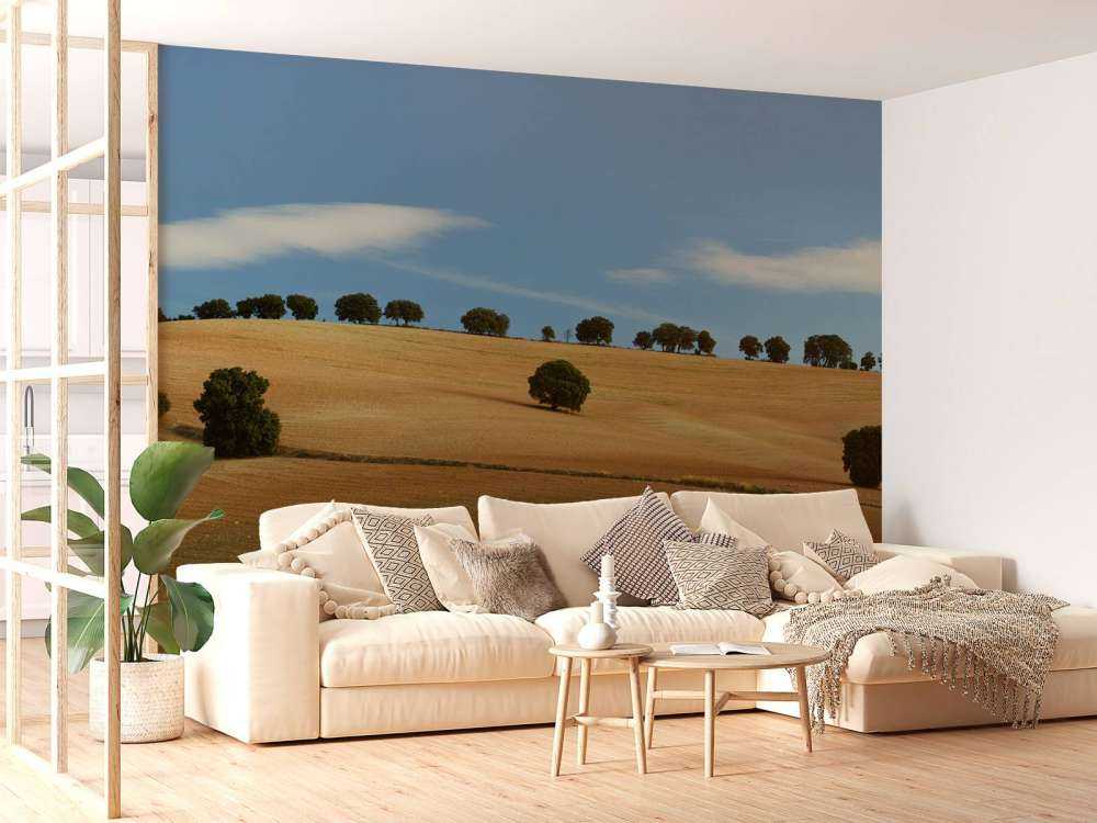 Les arbres dans le paysage espagnol