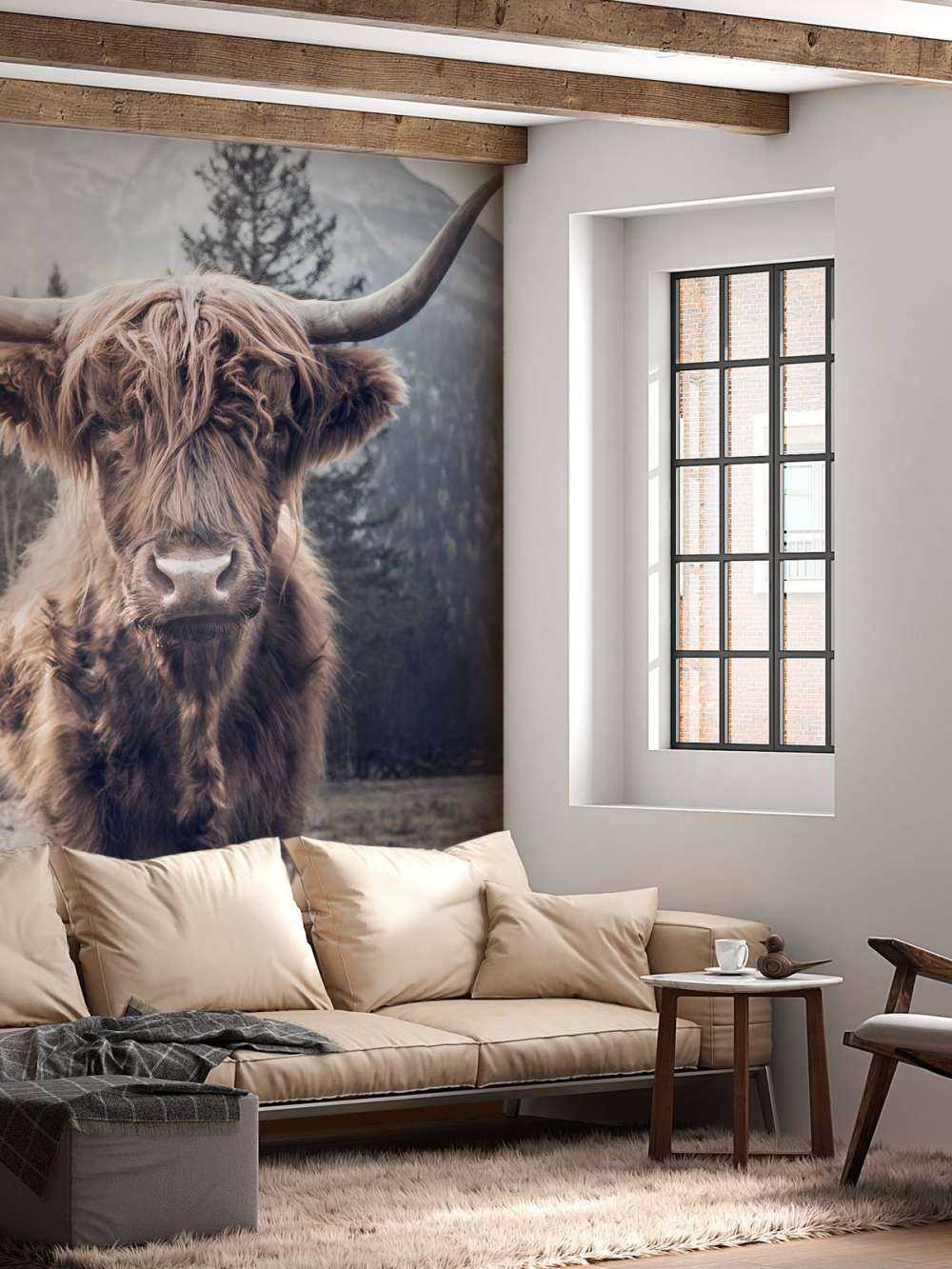 Le Highland écossais au bord de la forêt