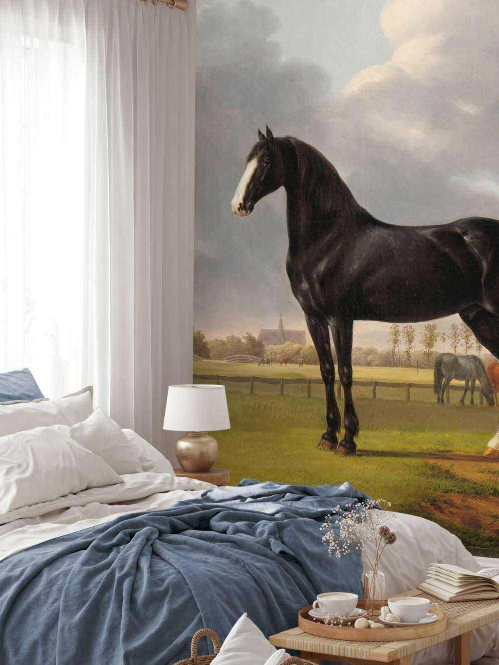 Photo fond d'écran cheval. Le bêcheur De Vlugge