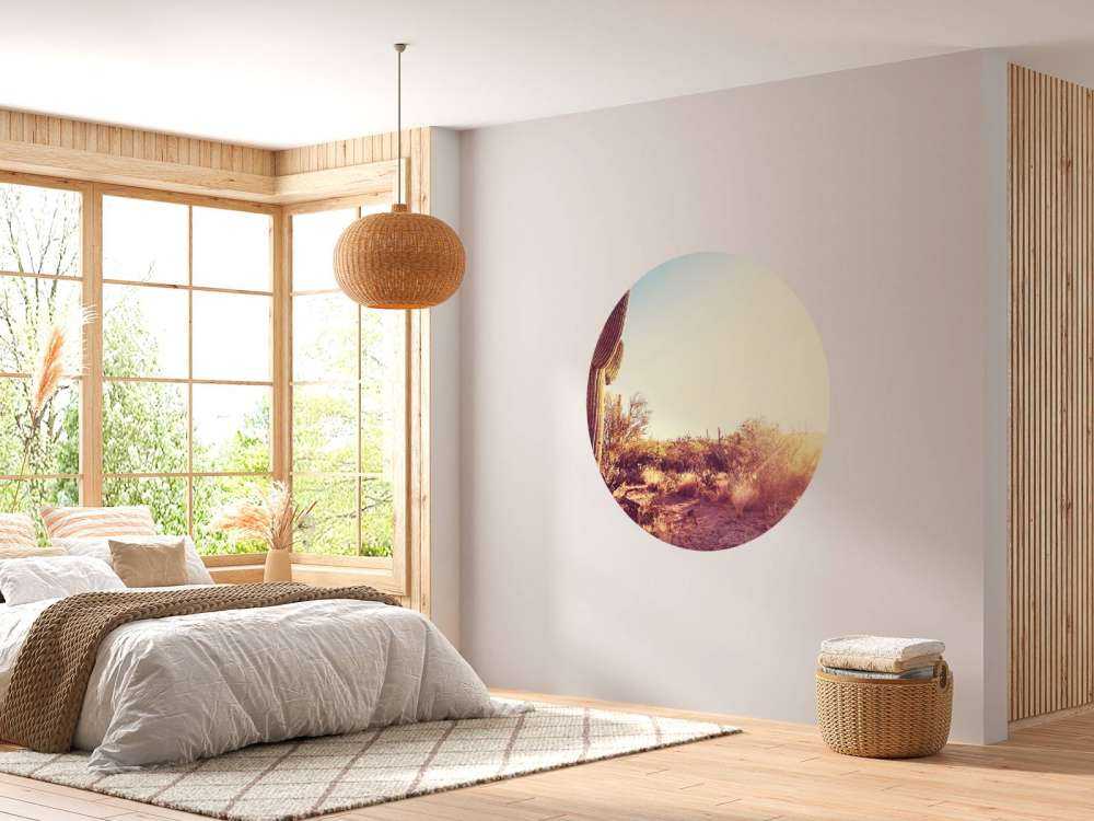 Cactus dans le désert