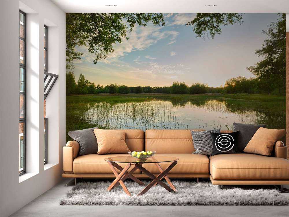 Coucher de soleil à forêt