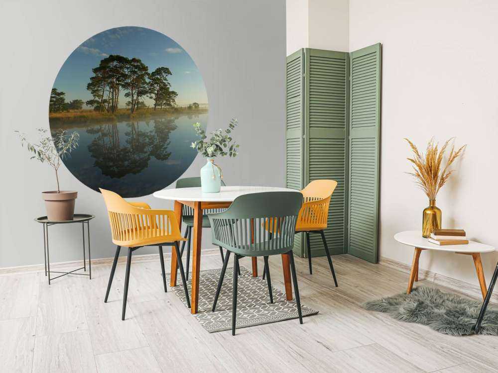 Réflexion dans la lande