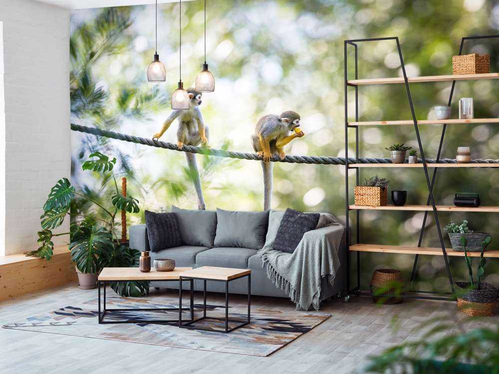 Singes écureuils sur corde