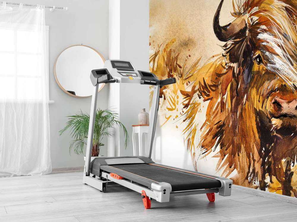 Peinture d'un Highlander écossais