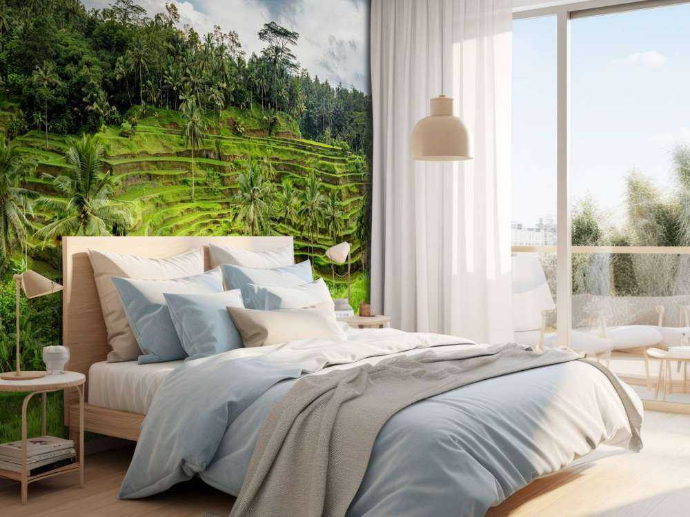 Les rizières thaïlandaises