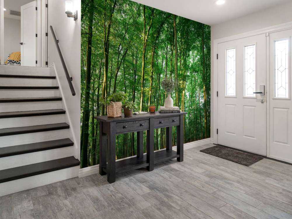 Forêt verte avec lumière du soleil