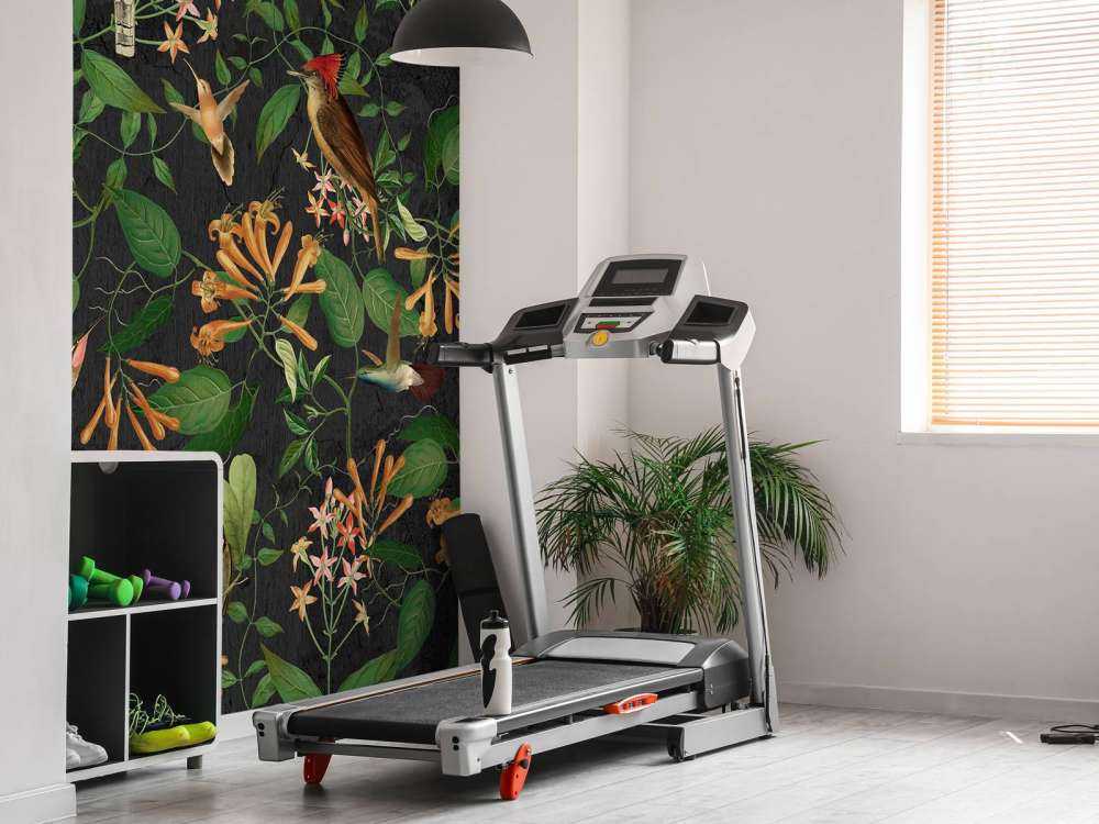 Mélodie du jardin de minuit