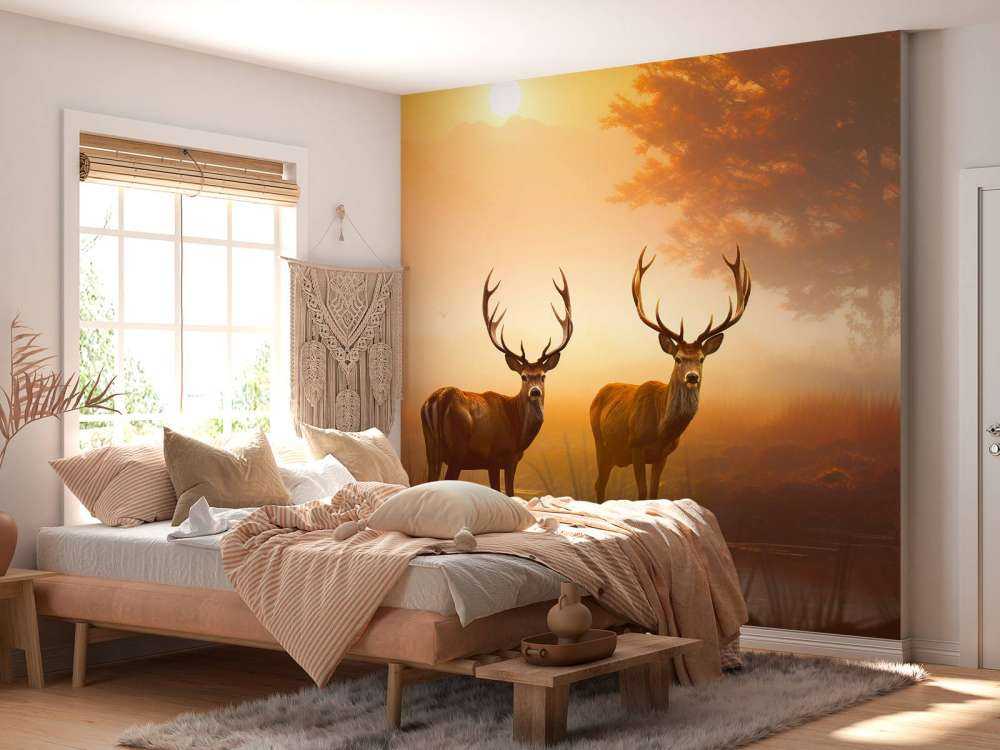 Gloire du matin Splendeur du cerf