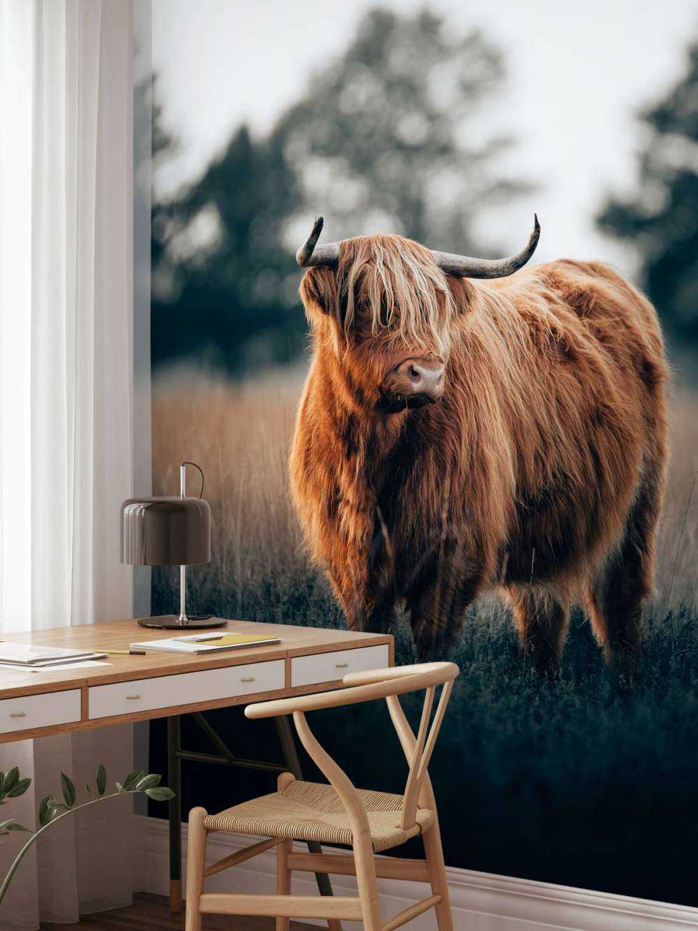 Portrait de Highlands