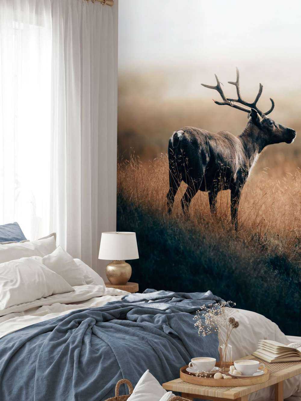 Renne dans les hautes herbes